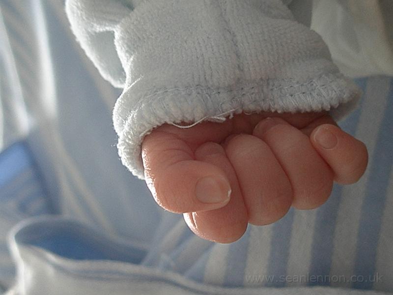 Loris Lennon (16-12-09) 011.jpg - OLYMPUS DIGITAL CAMERA         